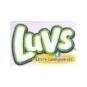 Luvs Diapers
