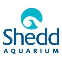 Shedd Aquarium
